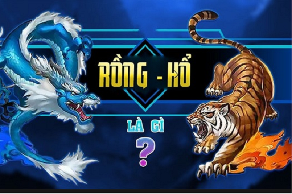 rồng hổ RS8